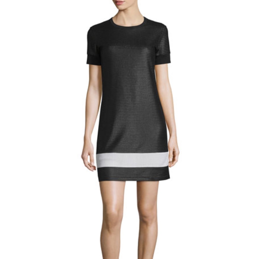 Rag & Bone Valerie Mesh Mini Dress, Black/White